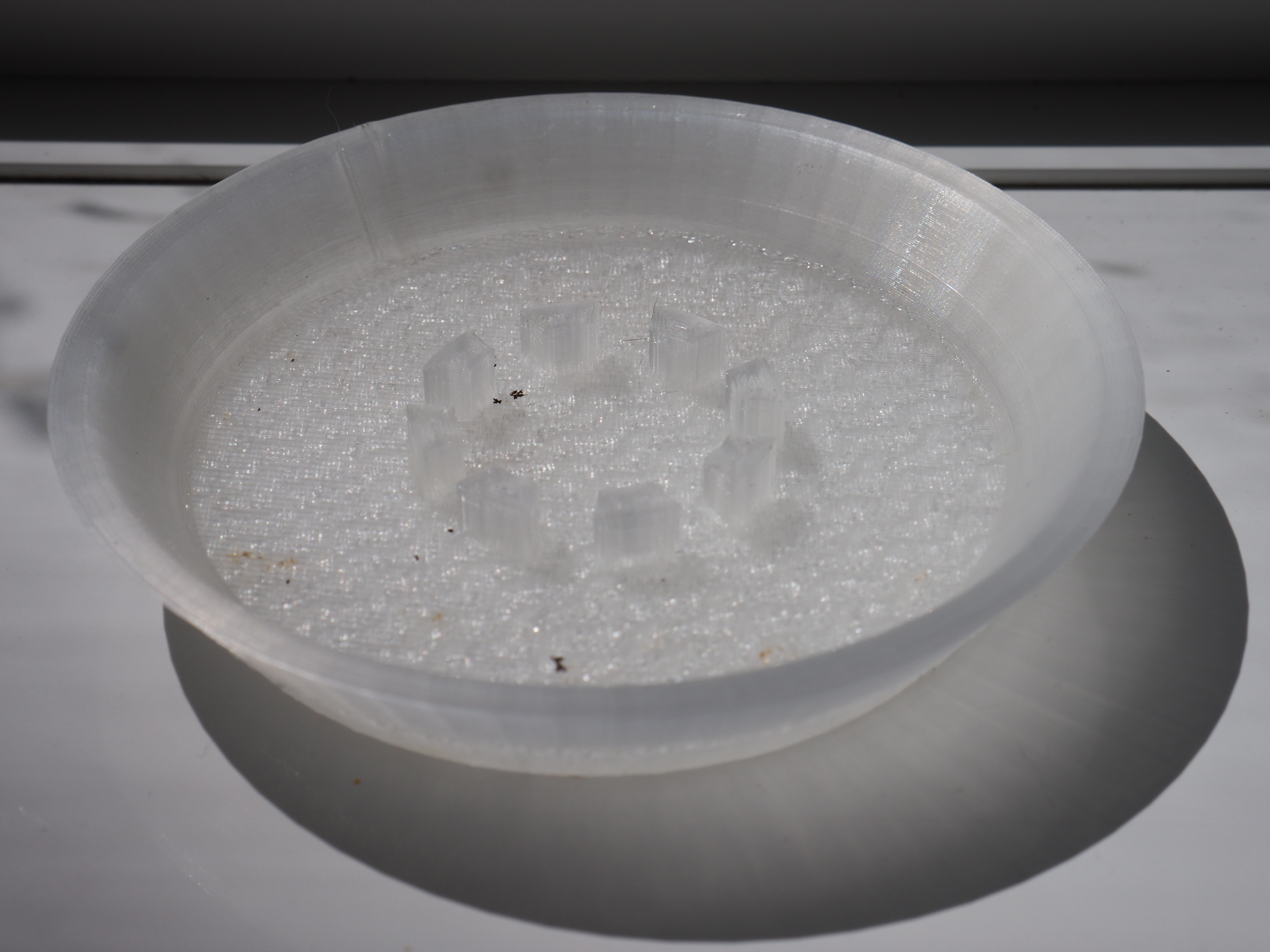 Lil' Plant Pot Plate