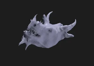 DRAGON HEAD