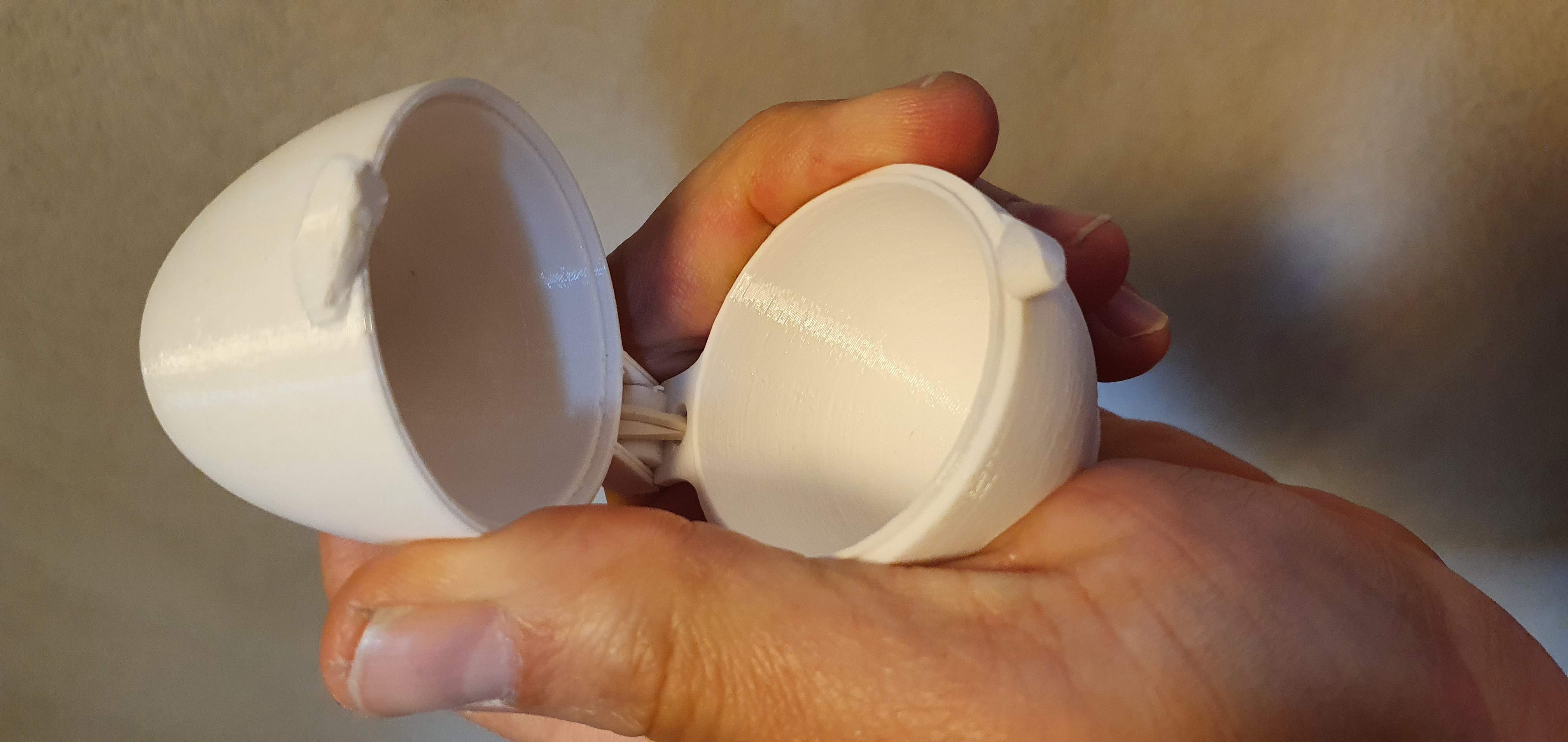 Miniatura 12 do modelo 3D Egg case