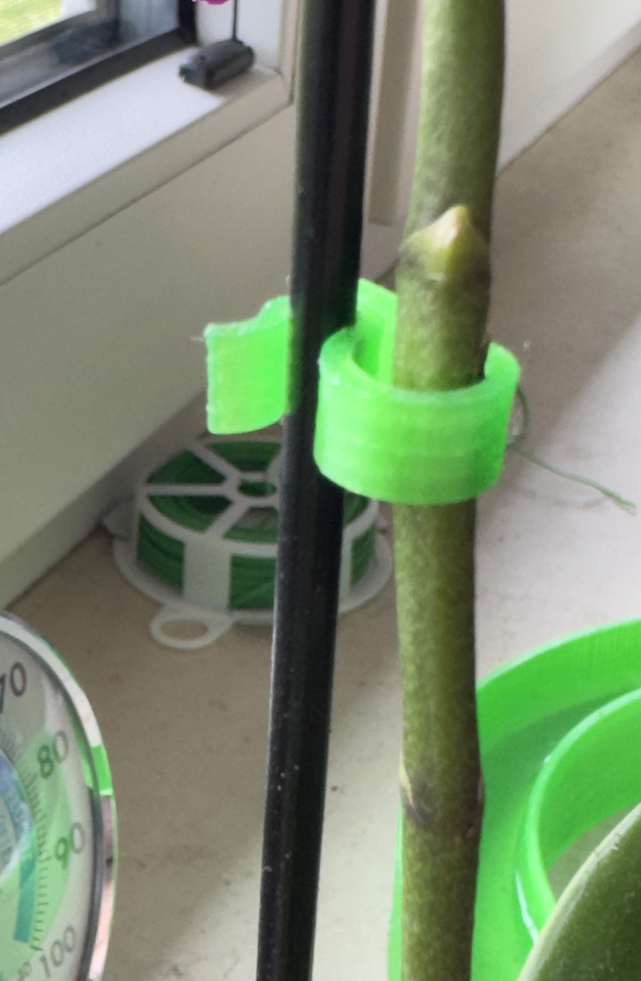 Orchideenhalter
