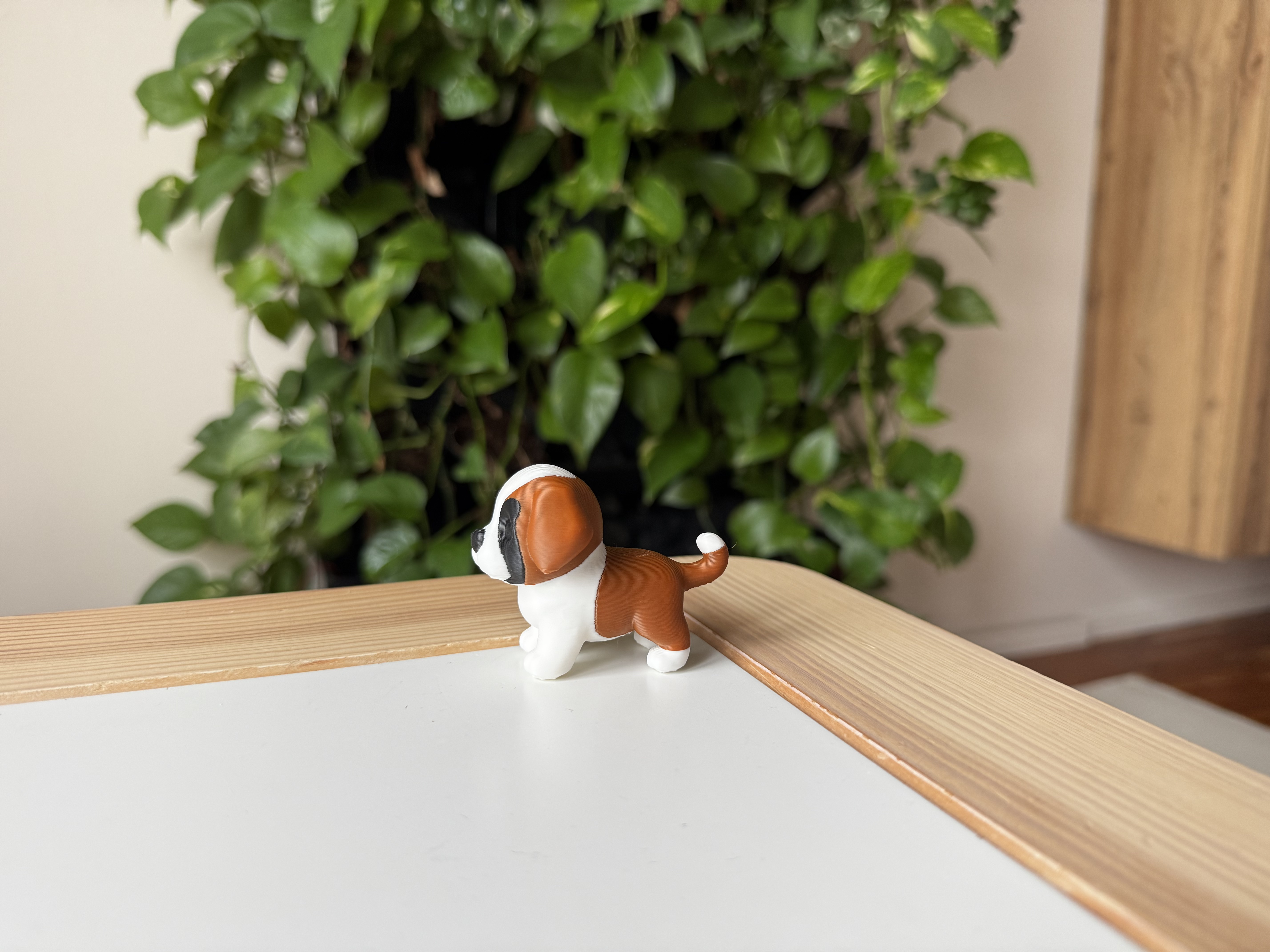 St. Bernards puppy — thumbnail 4