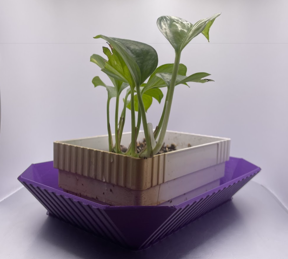 Plant Humidity & Drainage Base