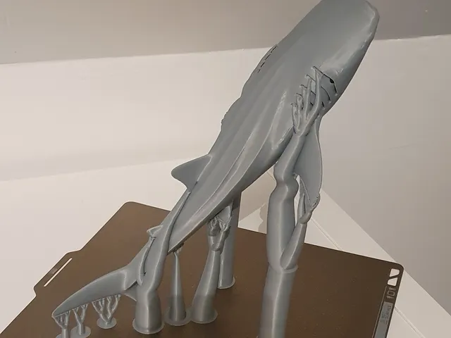 Majestic Whale Shark