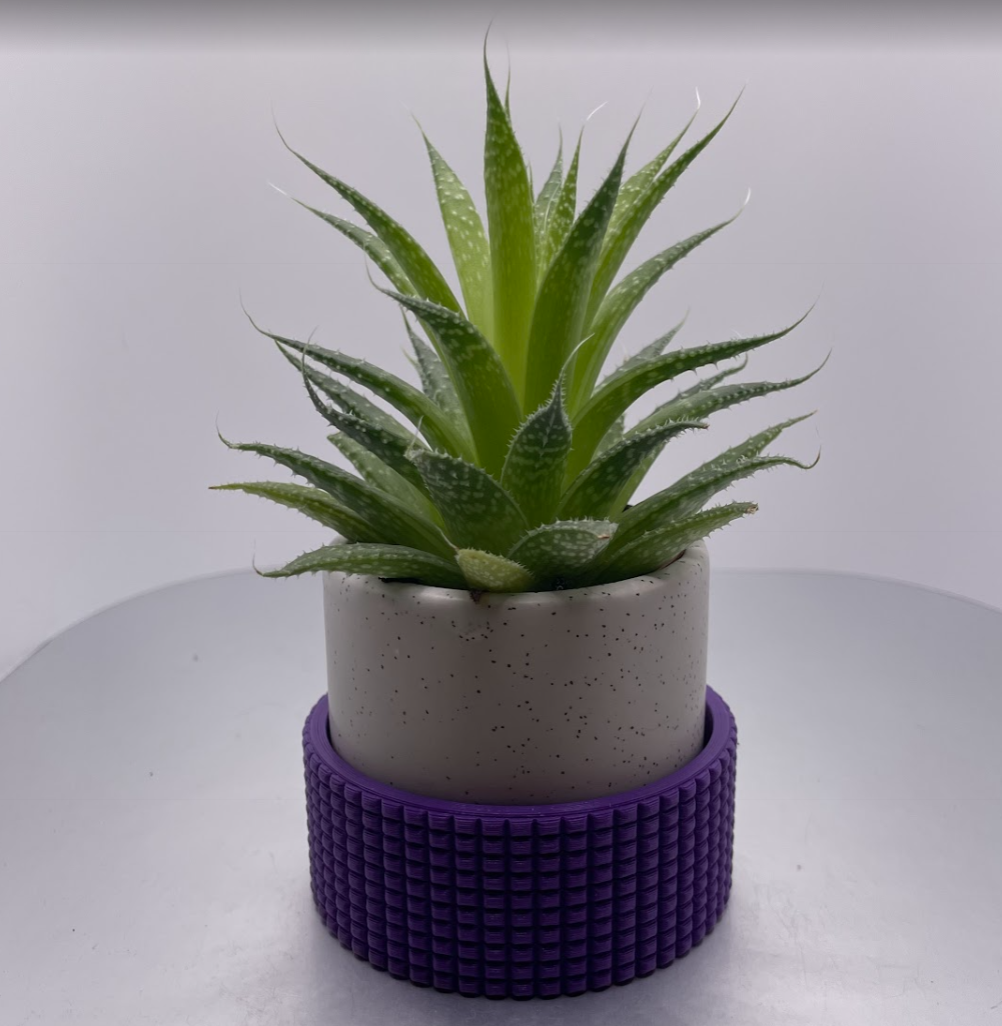 Small Cactus Drainage Pot