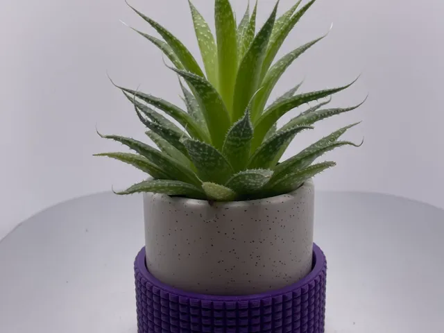 Small Cactus Drainage Pot