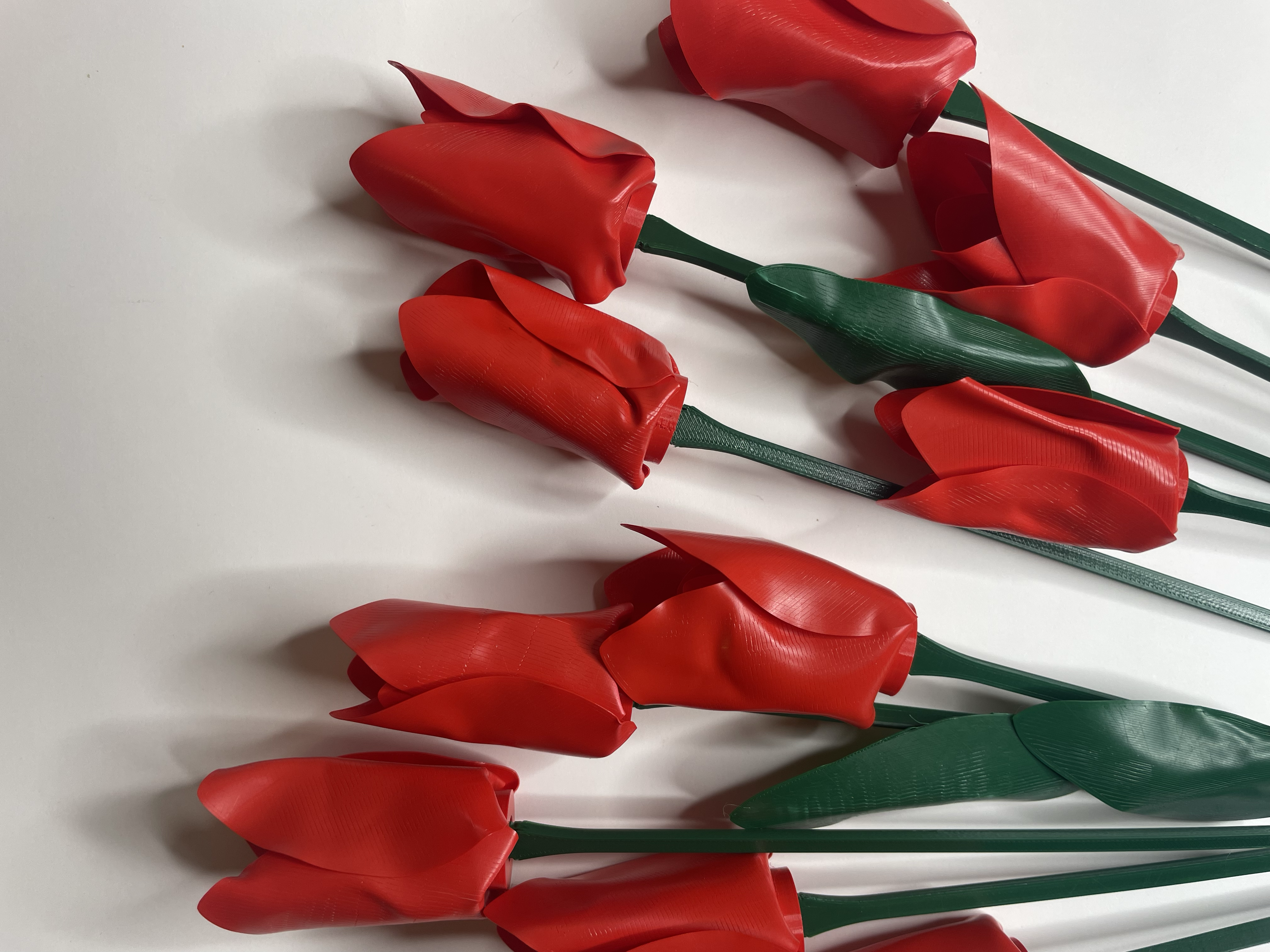 Tulip — thumbnail 2