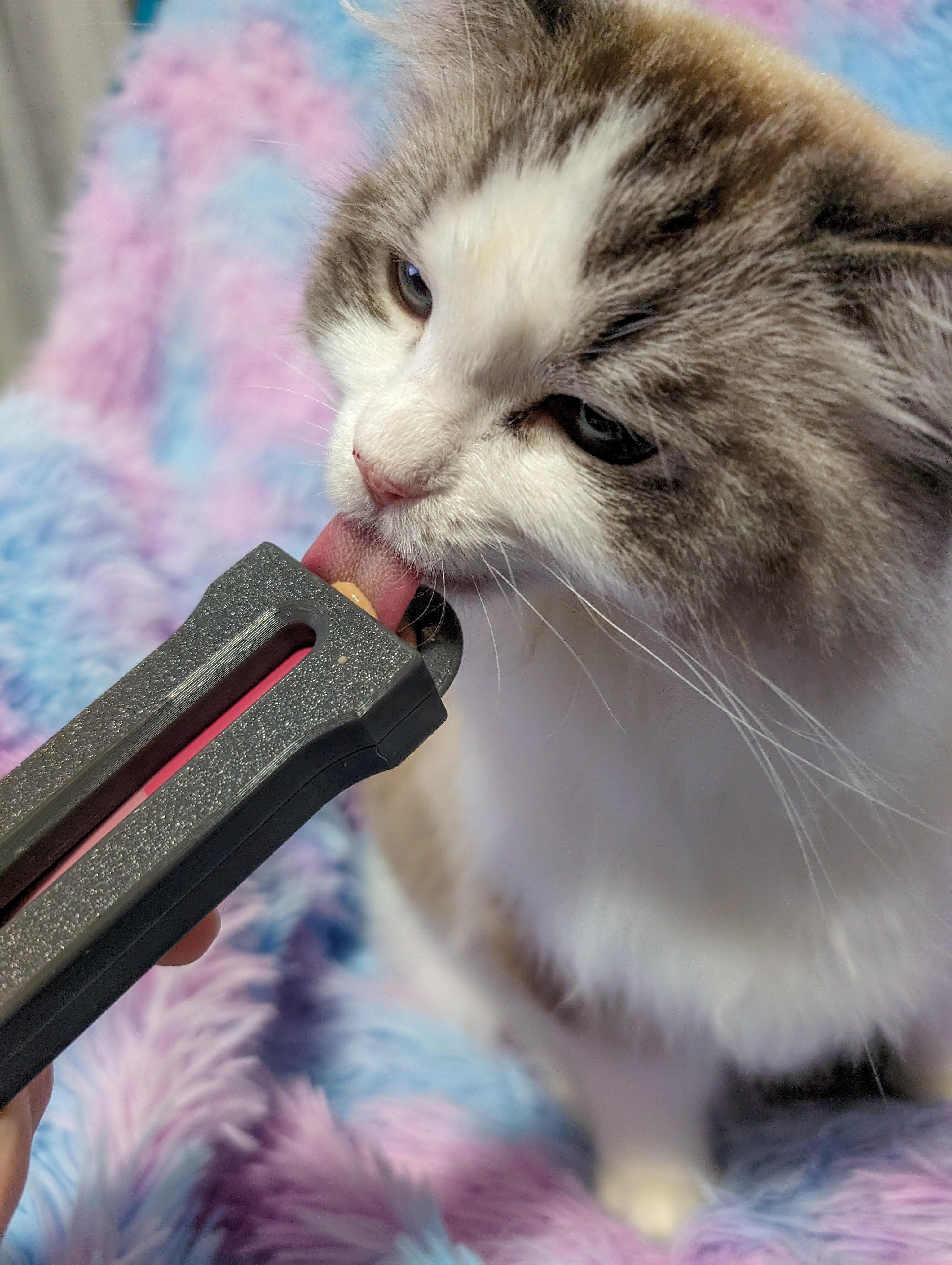 Improved Dispenser for Lickable Cat Treats 3D model thumbnail
