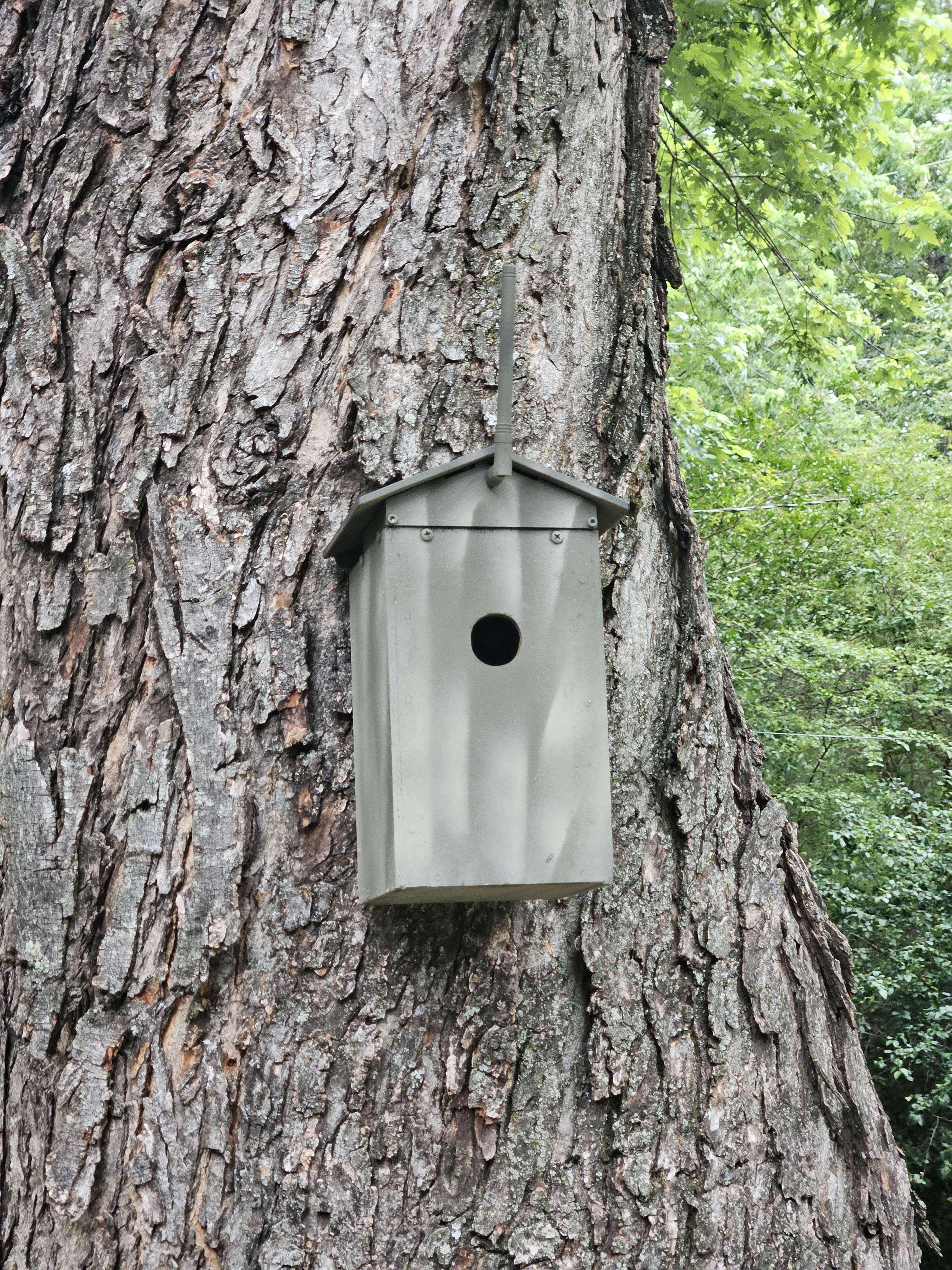 Meshtastic birdhouse node