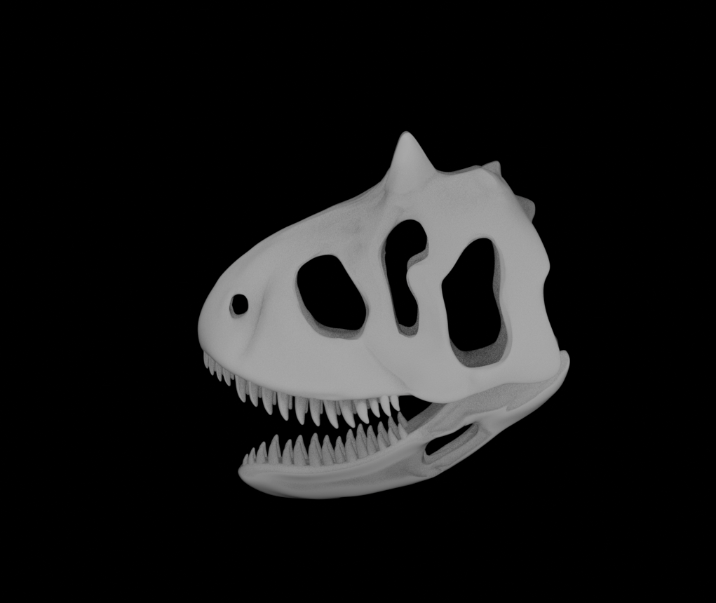 Carnotaurus Skull