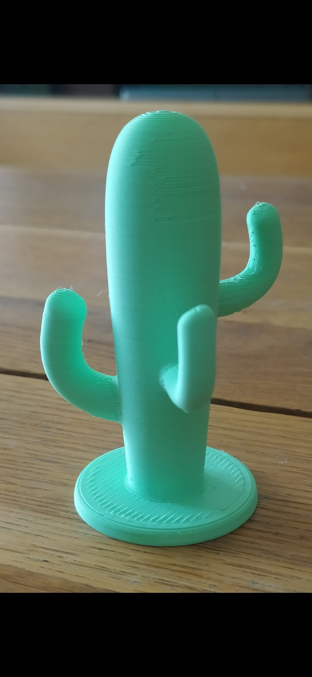 Cactus - Jewelry hanger , organizer