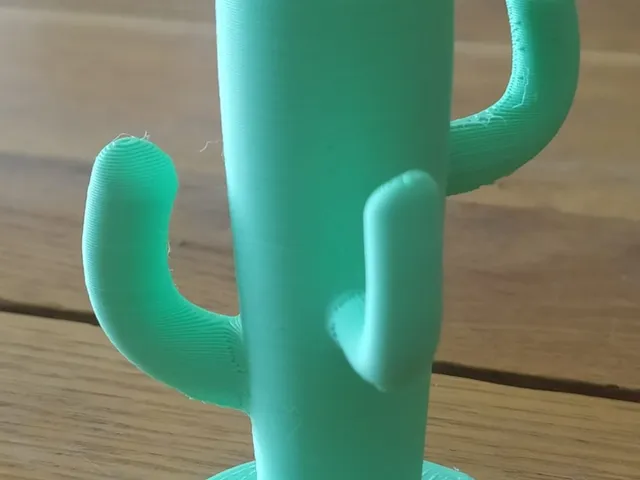 Cactus - Jewelry hanger , organizer