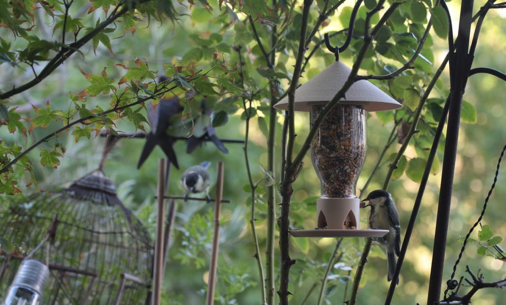 Screw on glass bottle hanging bird feeder
