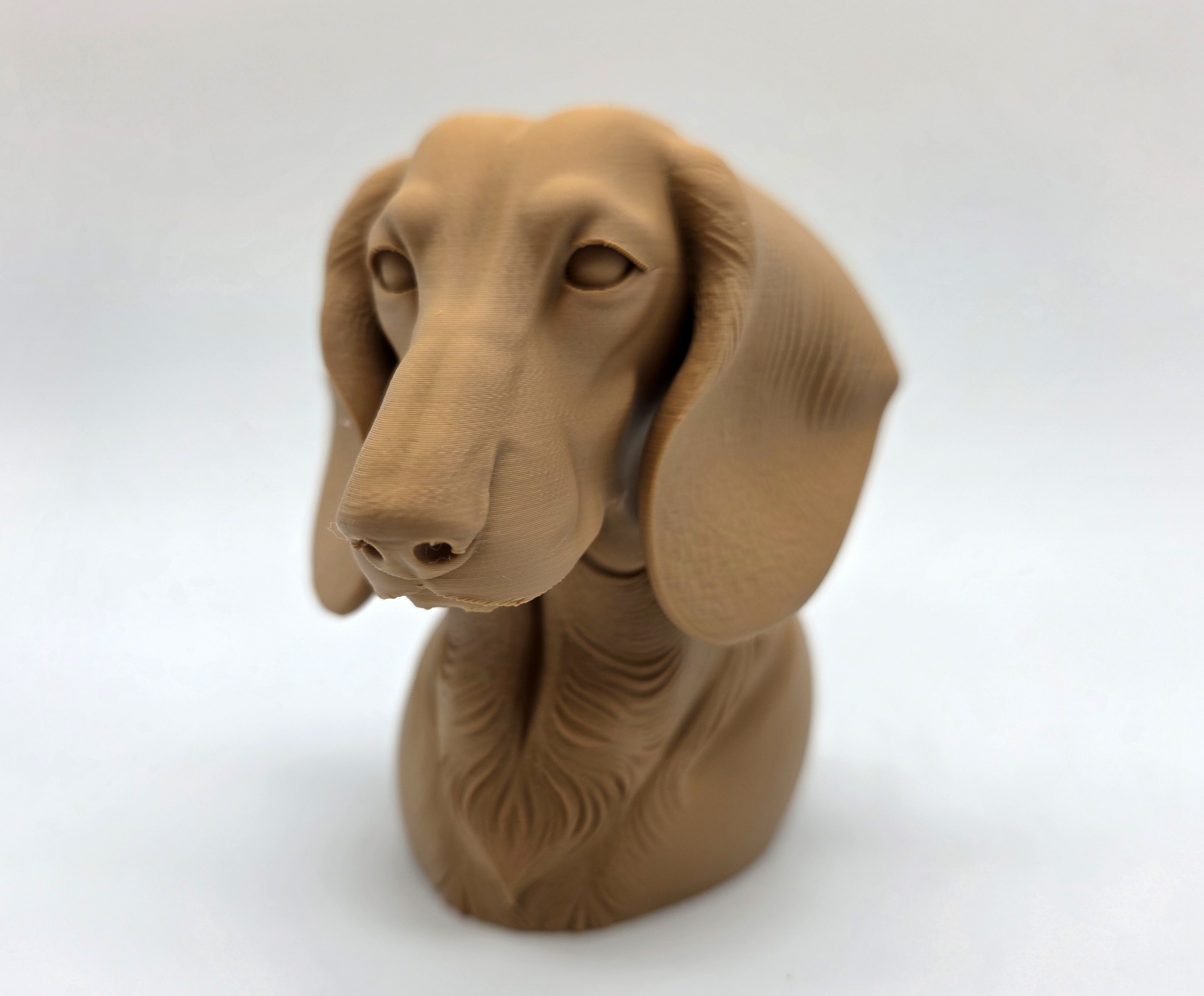 Dachshund Bust — miniatura 3