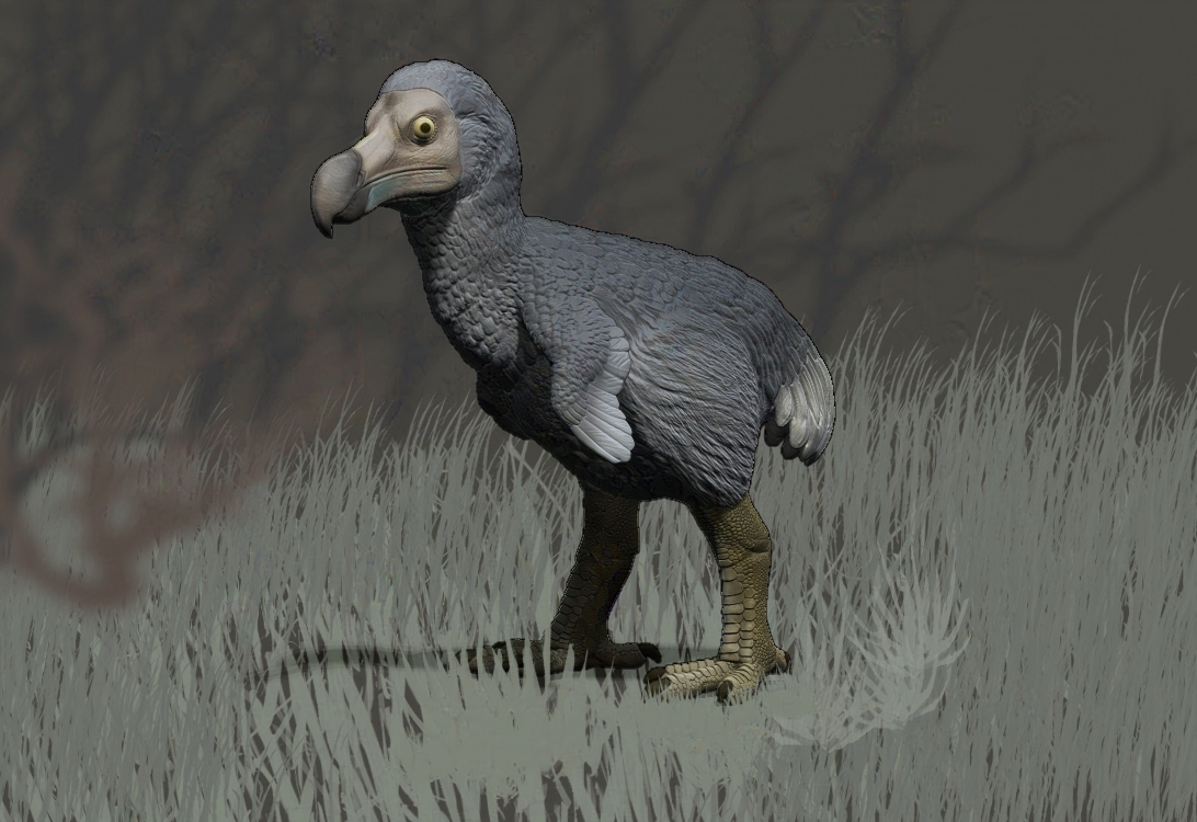 Dodo bird sculpture