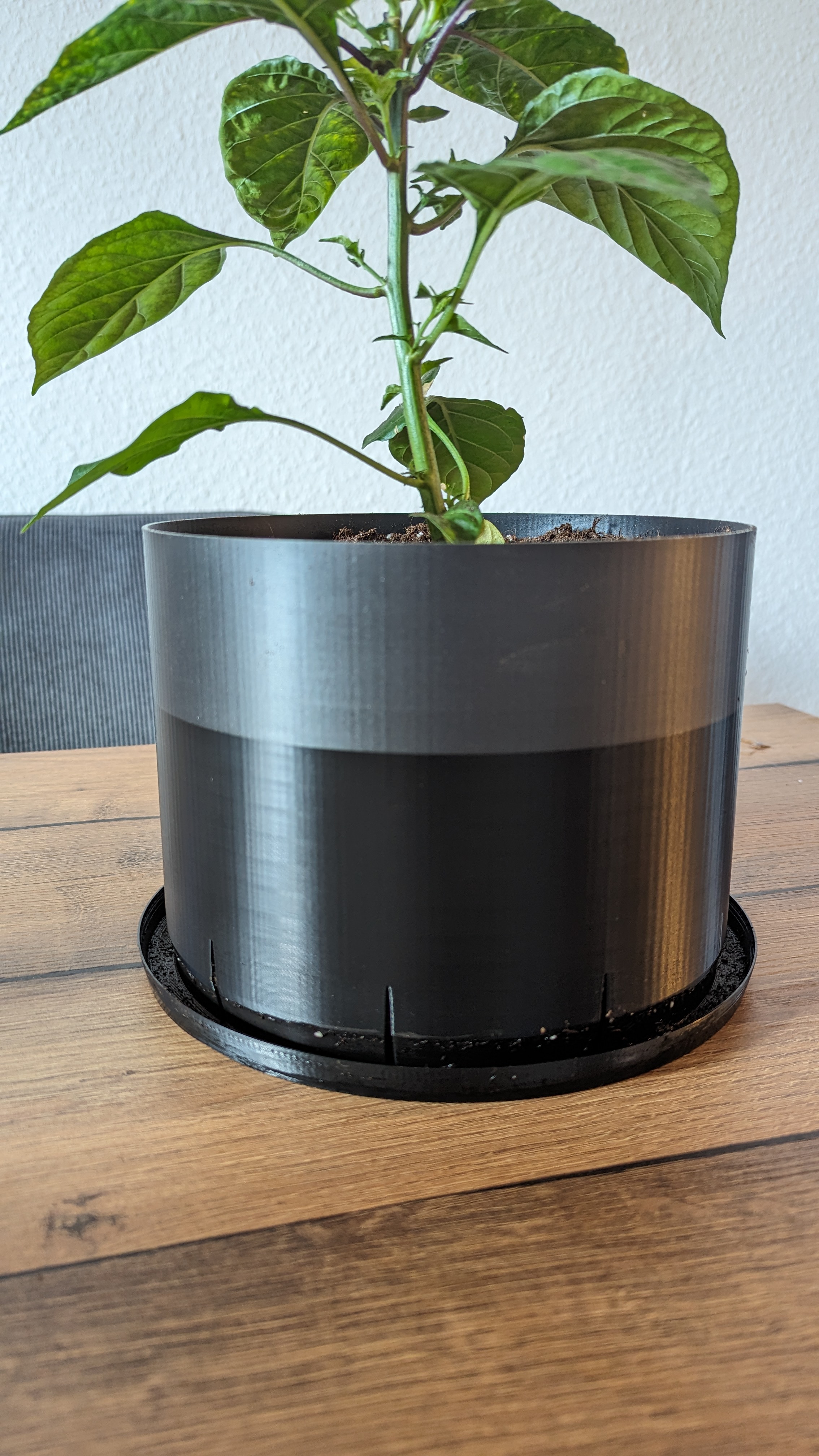 Plant Pot 20 cm by KiKoKe | Download free STL model | Printables.com