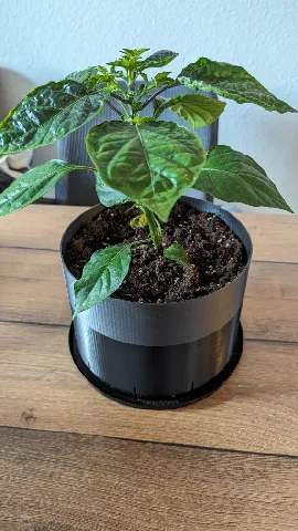 Plant Pot 20 cm