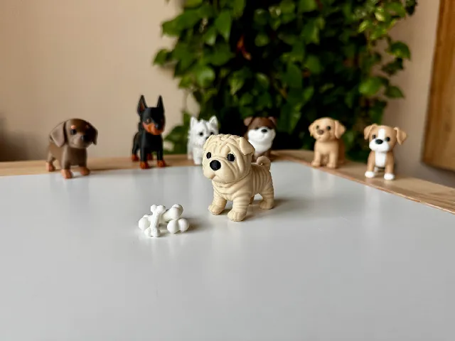 Shar Pei