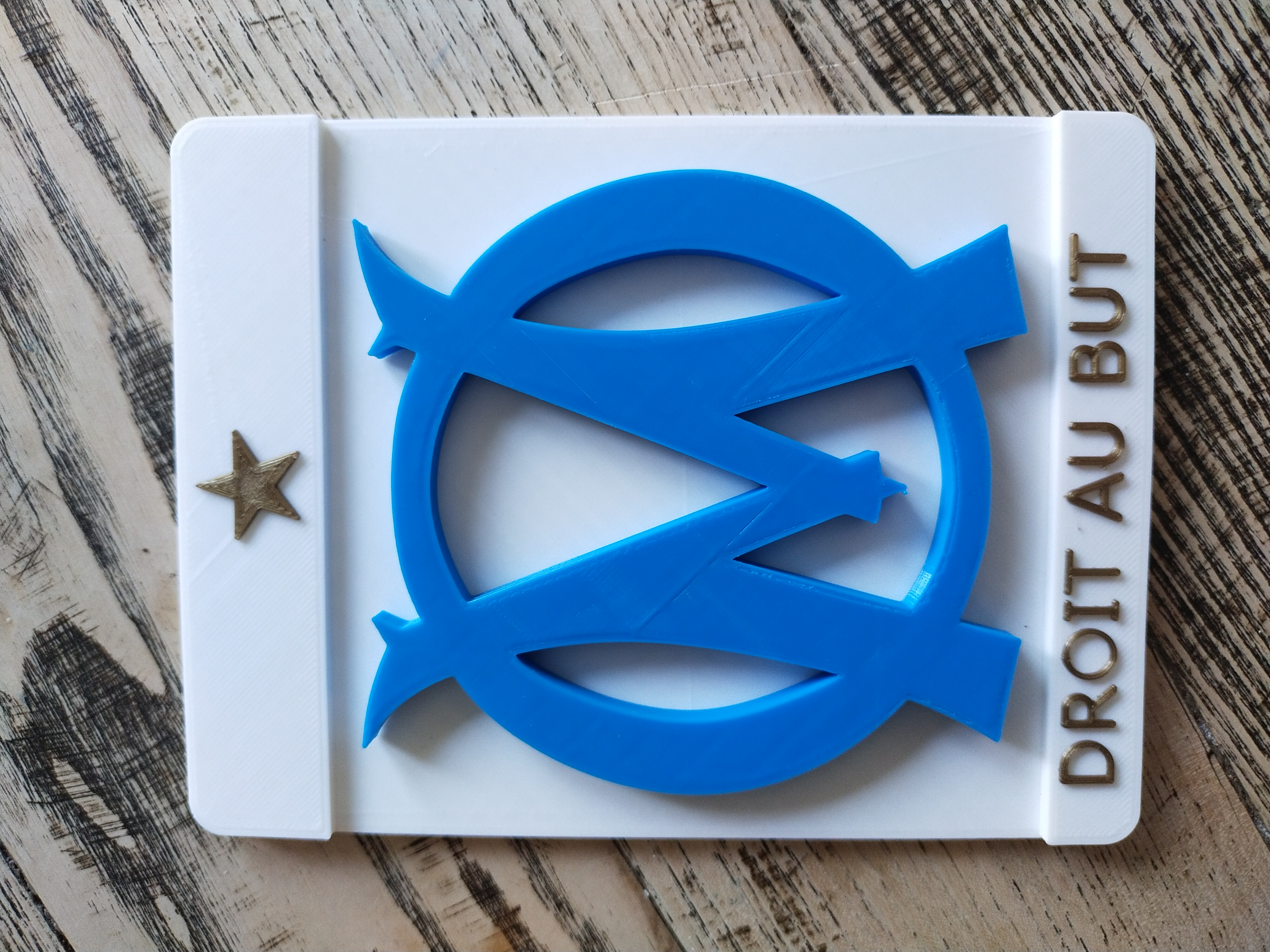 Logo OM