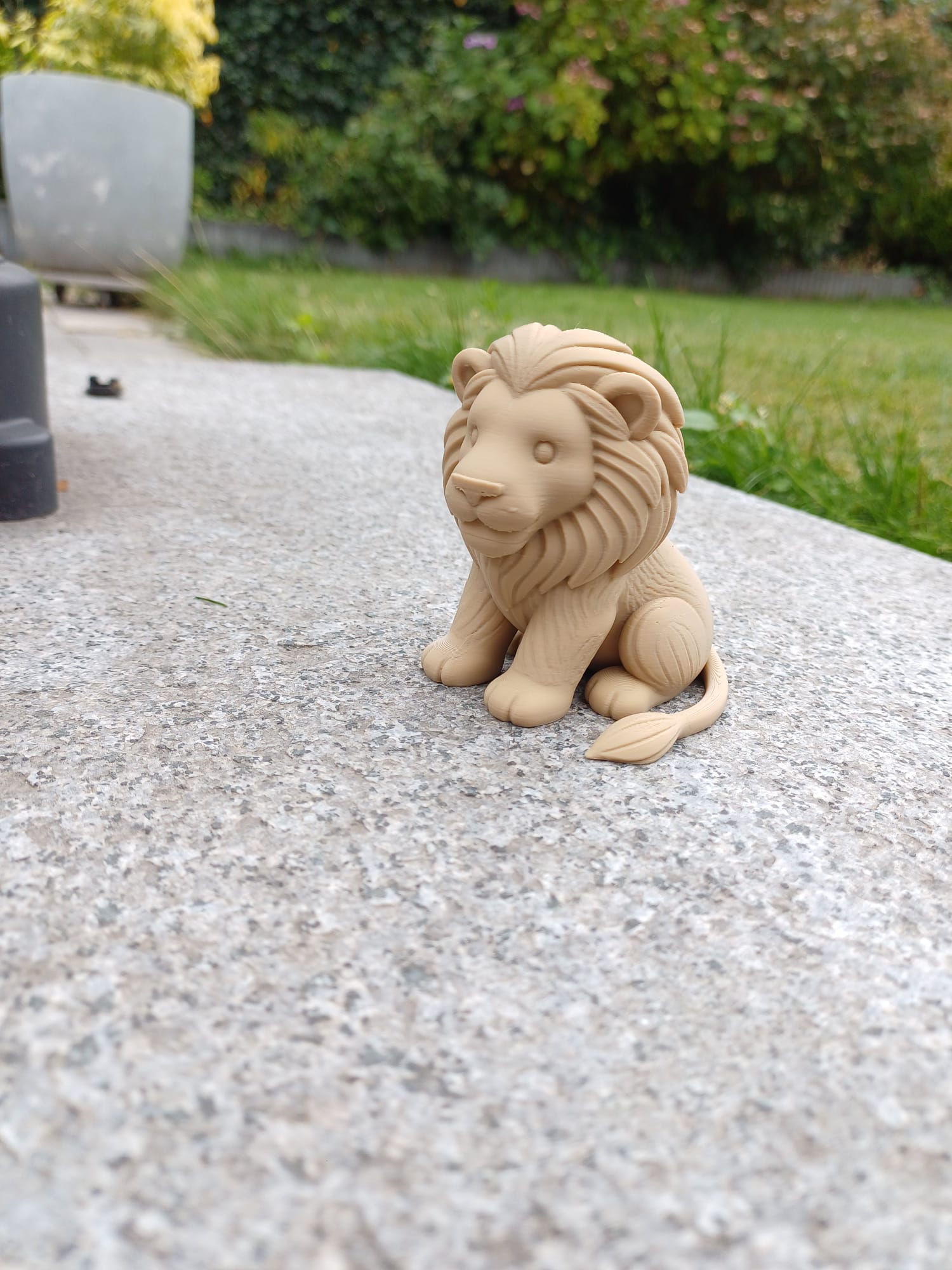 Sitting Lion - King of the Cozy Savanna