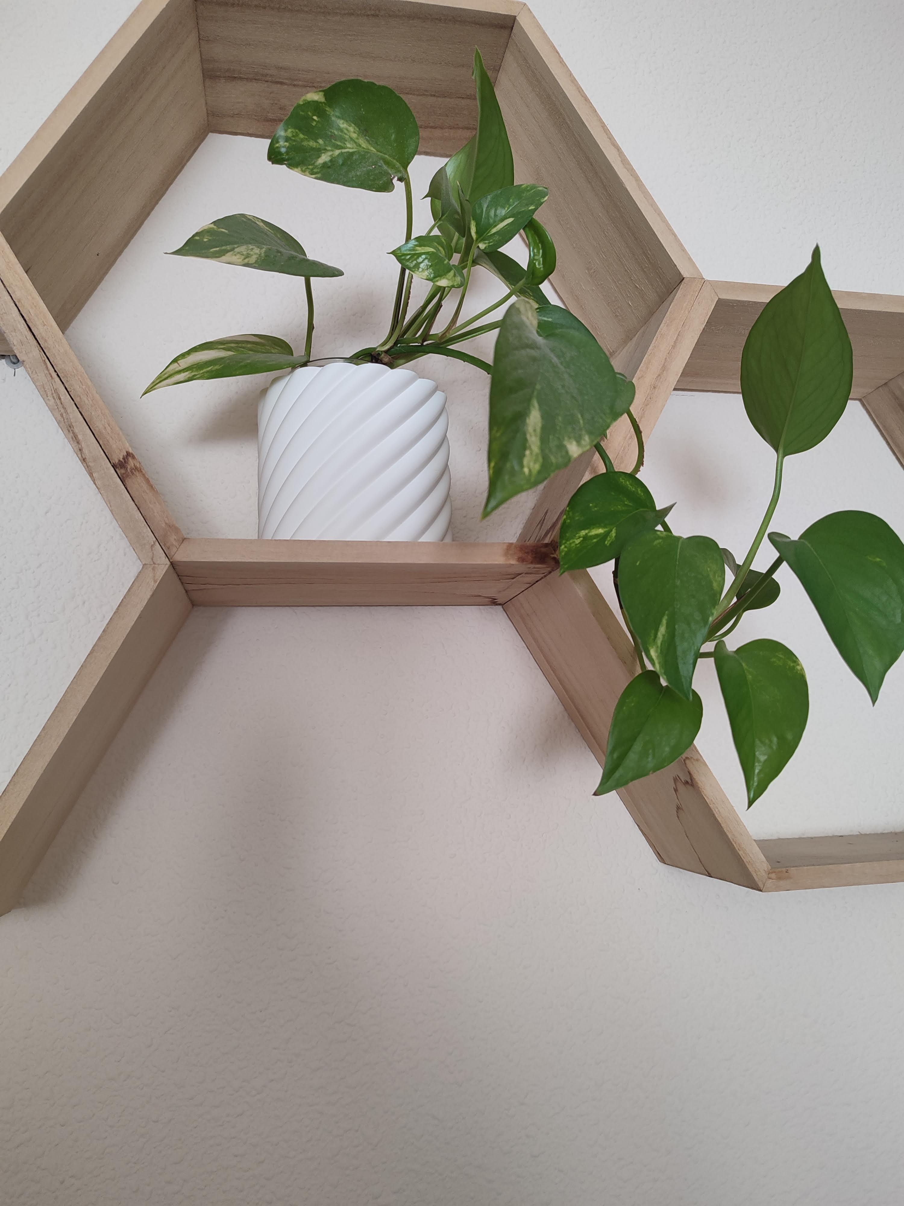 Miniatura 2 do modelo 3D Elegant flower pot