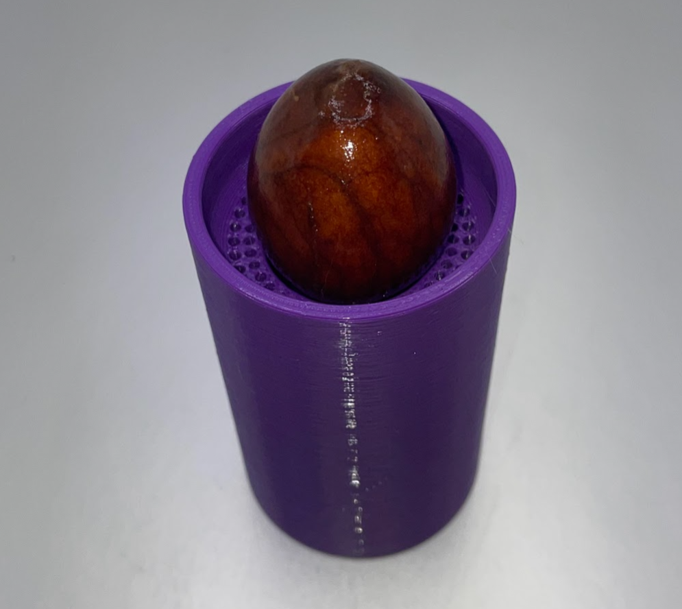 Miniatura 4 do modelo 3D Avocado Seed Starter 2