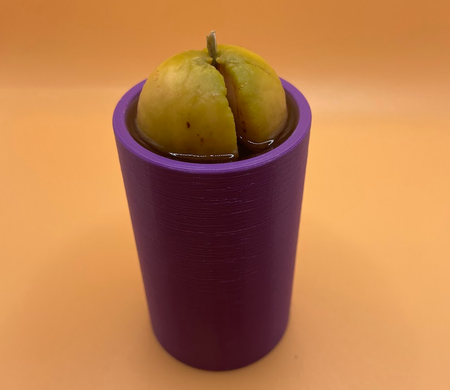 Miniatura 3 do modelo 3D Avocado Seed Starter 2