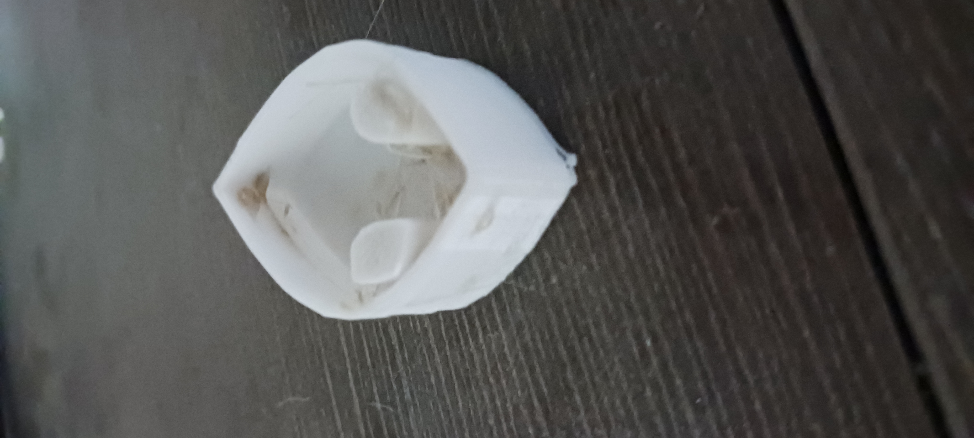 Hollow Knight Silksong mask