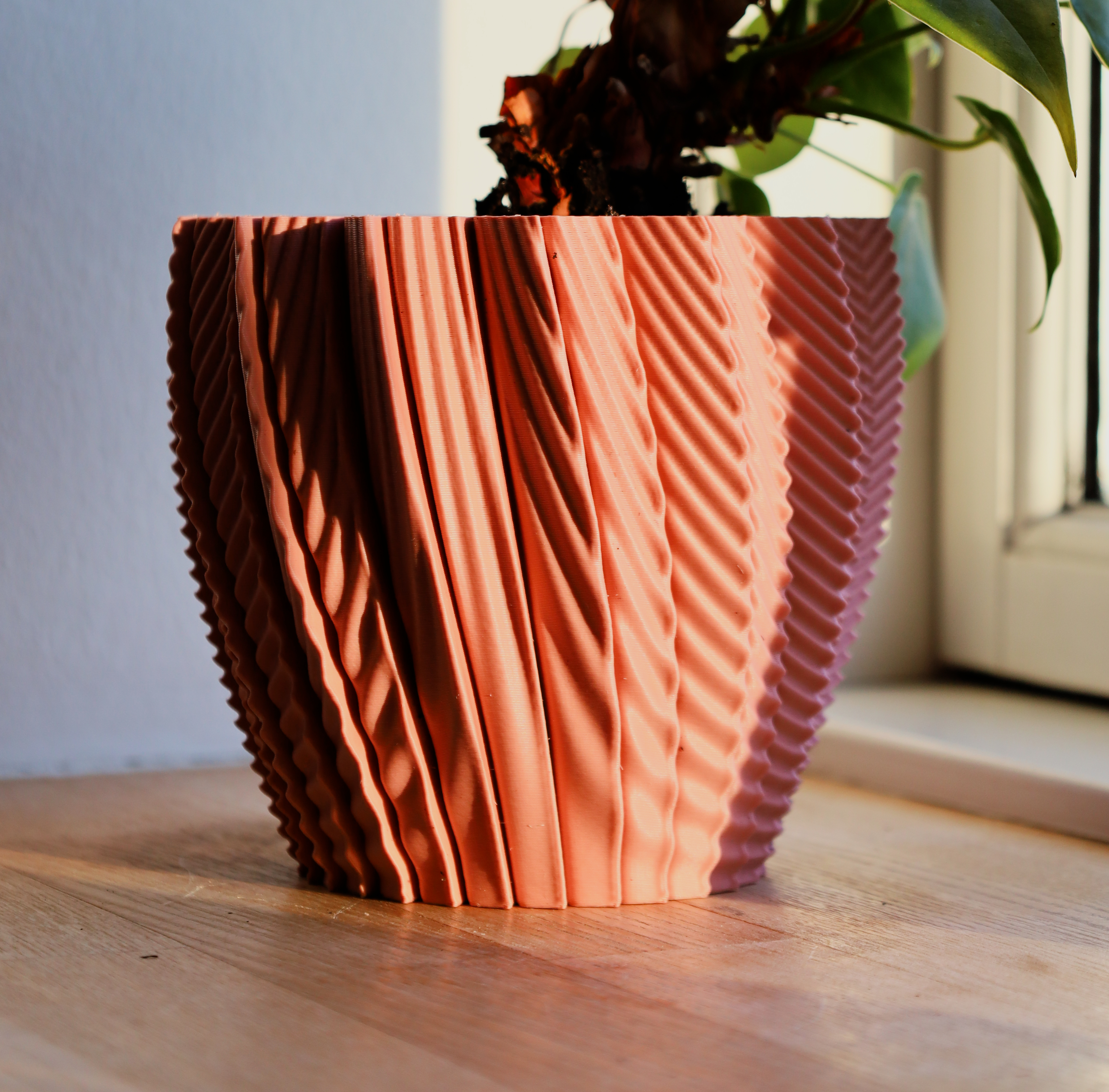 Pot 7