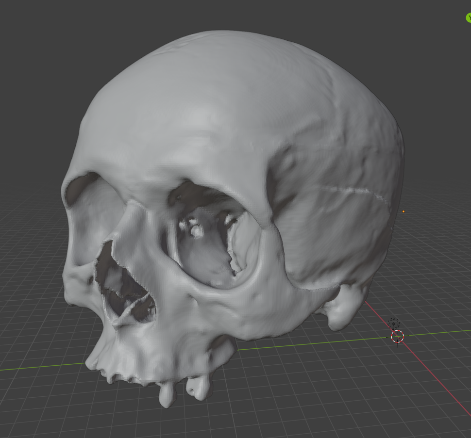 skull