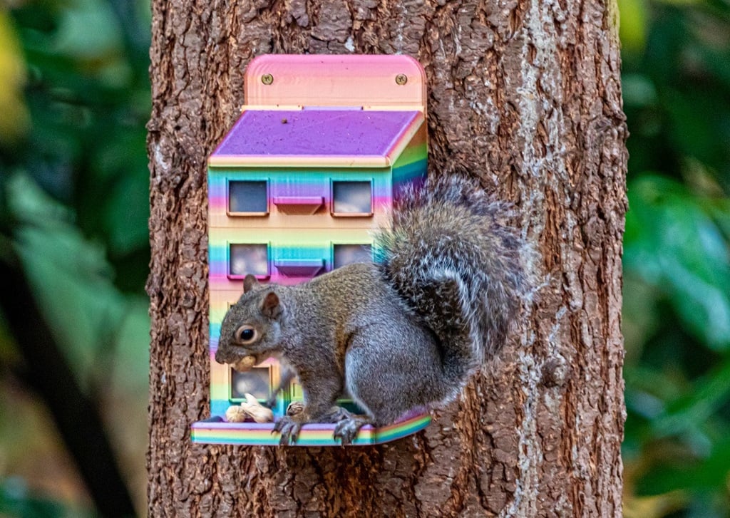 Large Squirrel Feeder