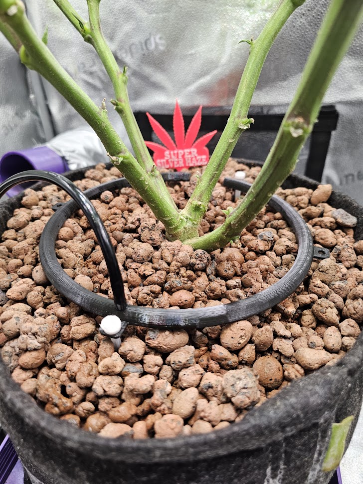 190mm drip irrigation ring / halo 3D model thumbnail