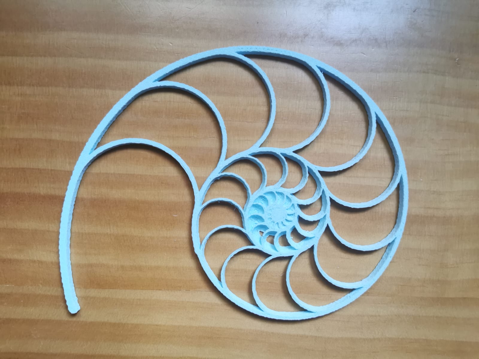 Nautilus Shell 2D