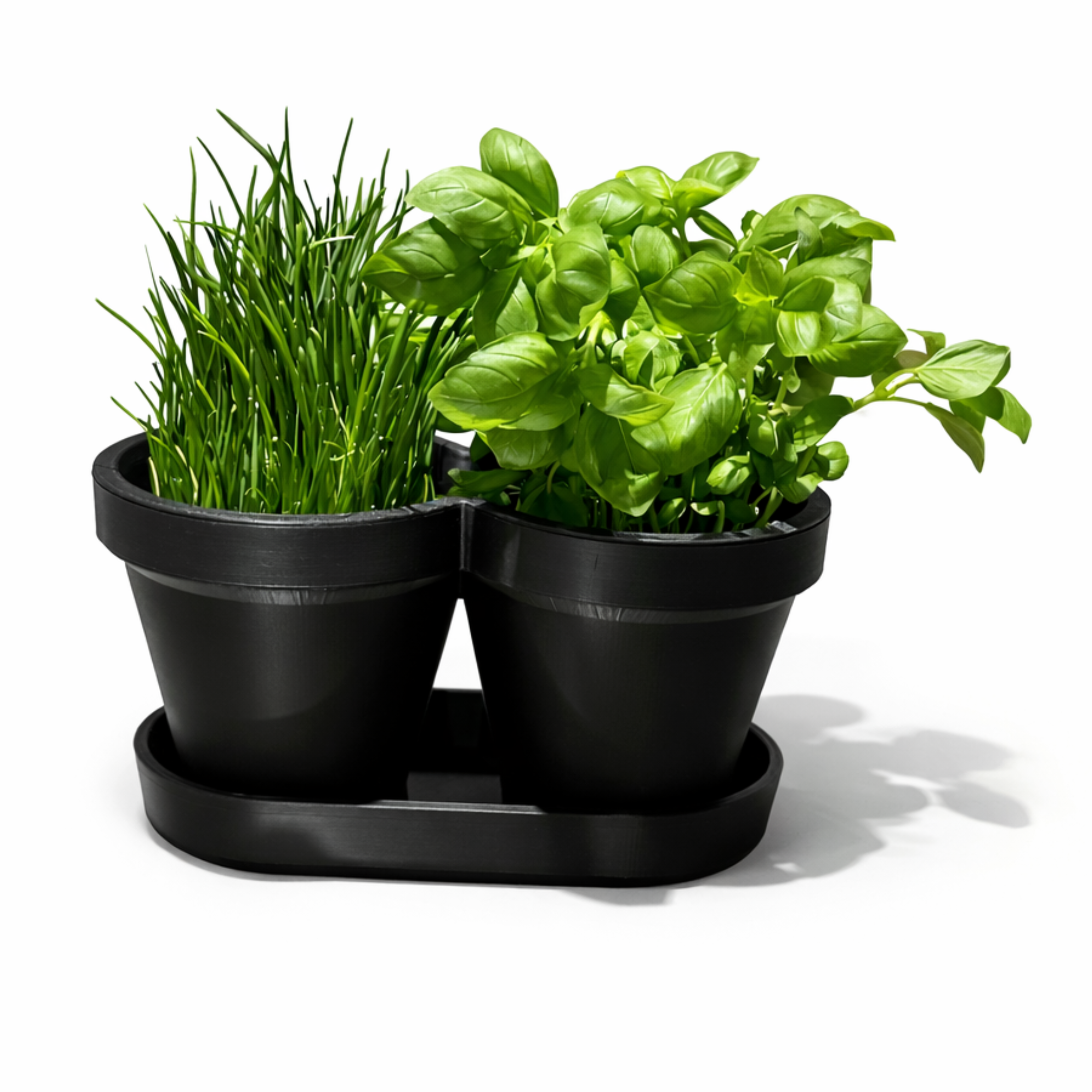 HERBS PLANTER POT / BASIL / CHIVES / KITCHEN GADGETS / ORGANIZER / HOMEDECOR / TOOLS — thumbnail 4