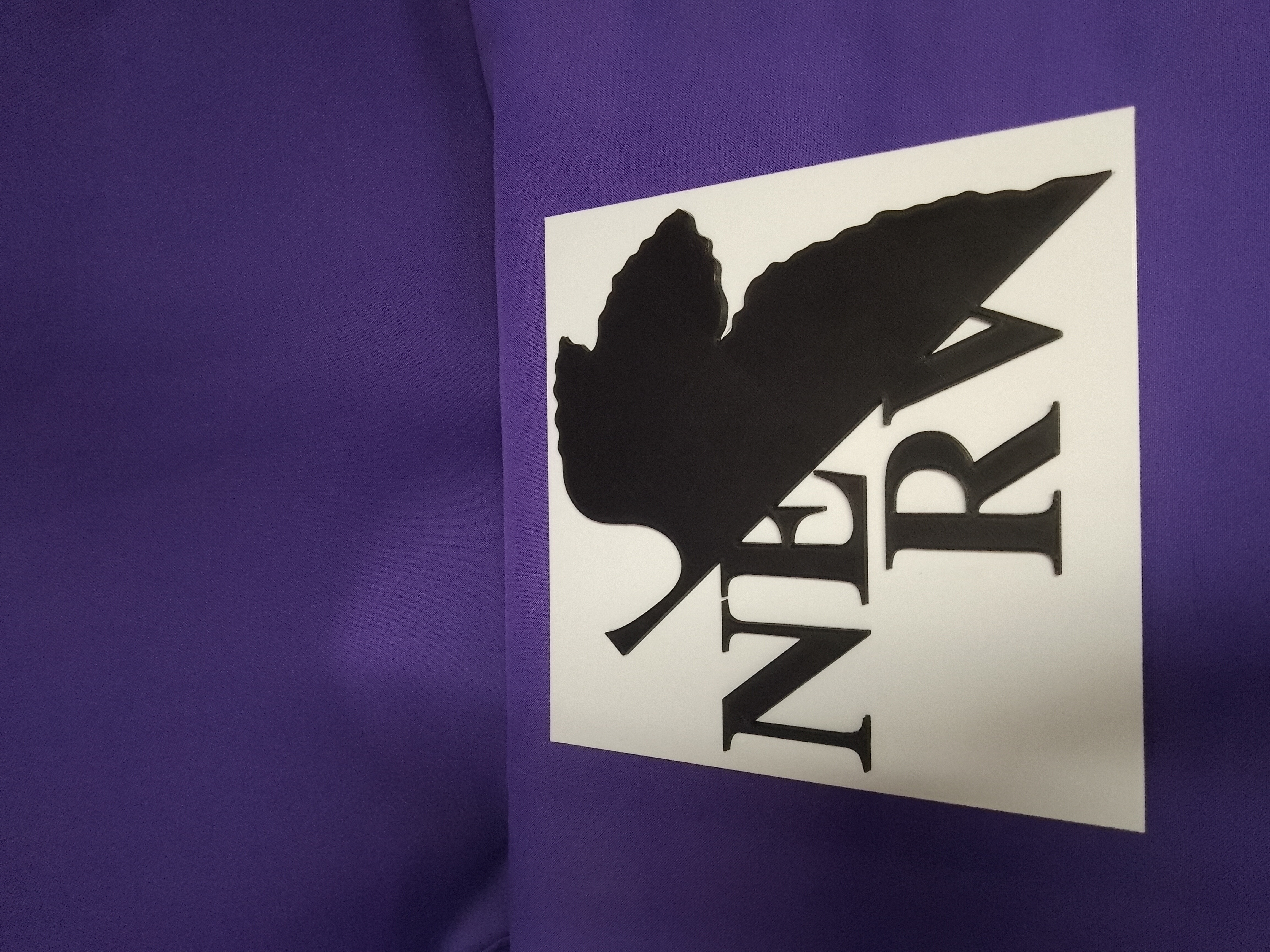 Nerv Logo