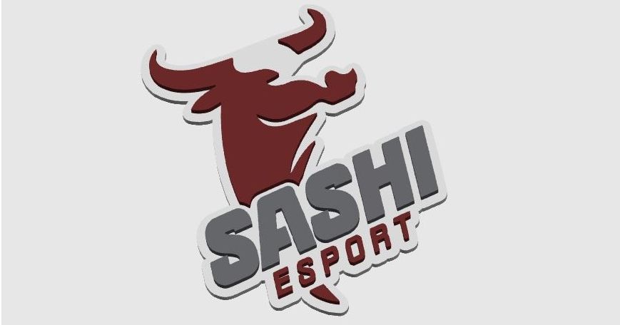 Sashi Esport Logo (CS2) by Mikkel Hedegaard | Download free STL model ...