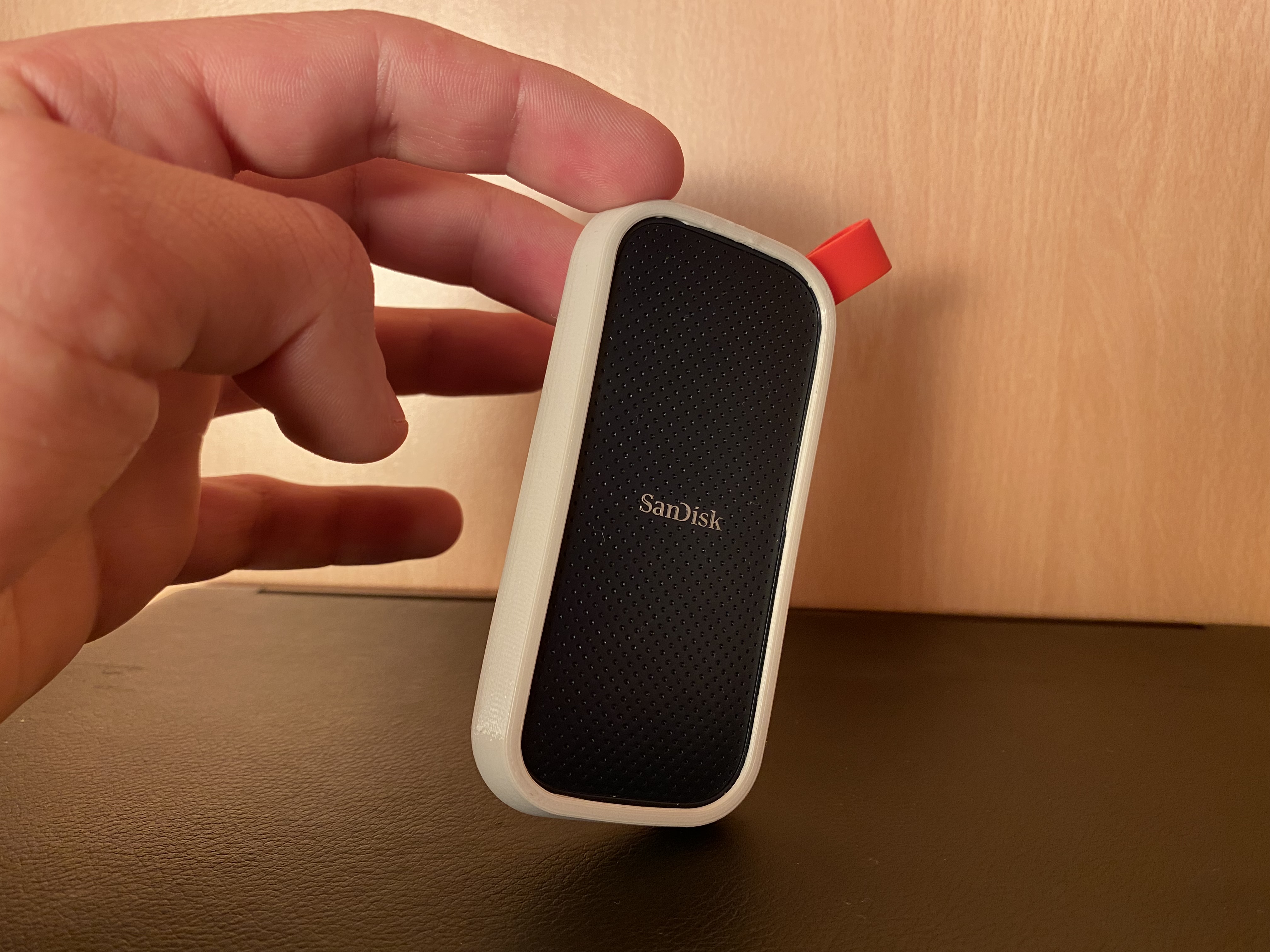Case for SanDisk SSD