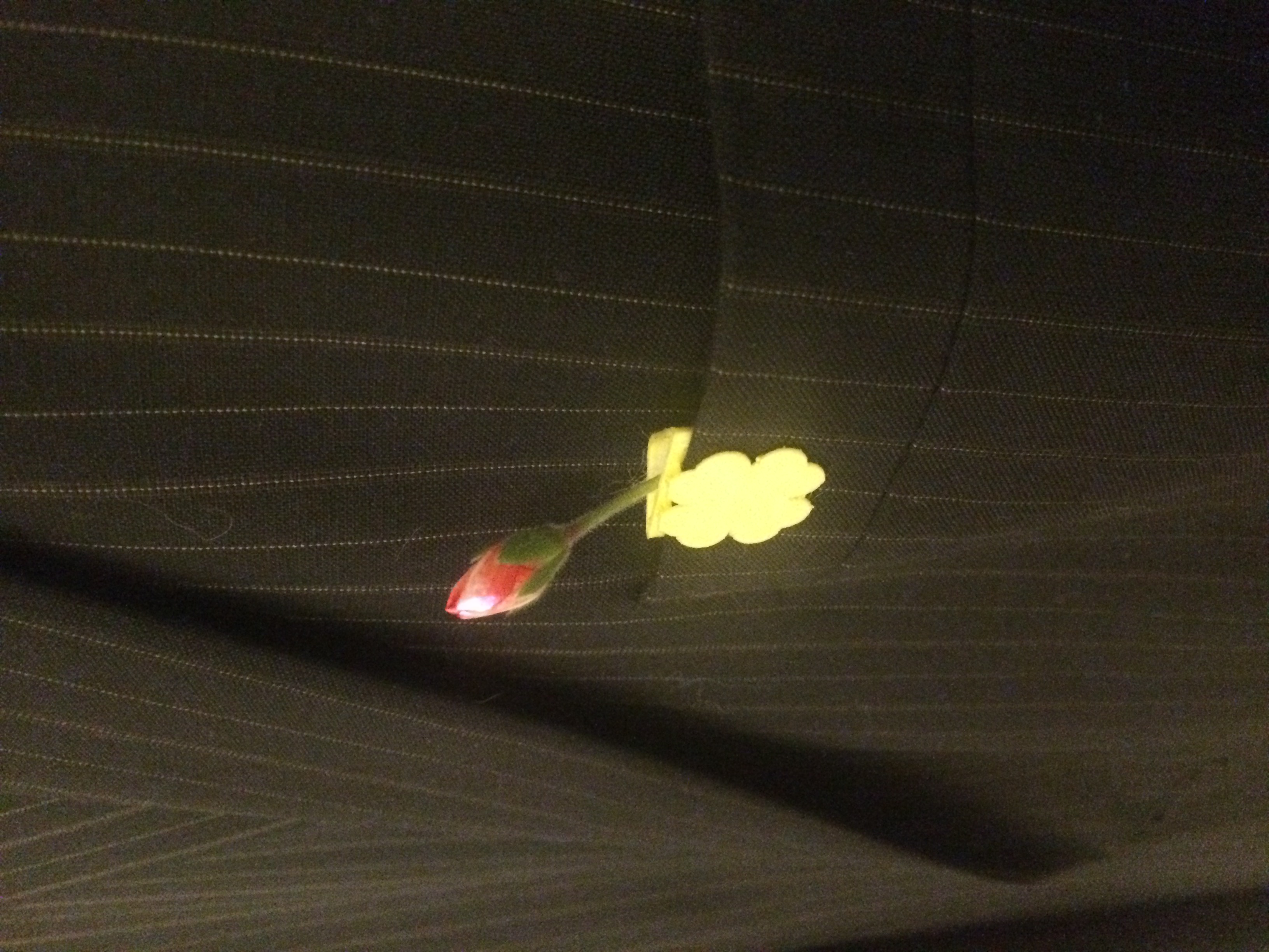 Flower on the lapel of a jacket