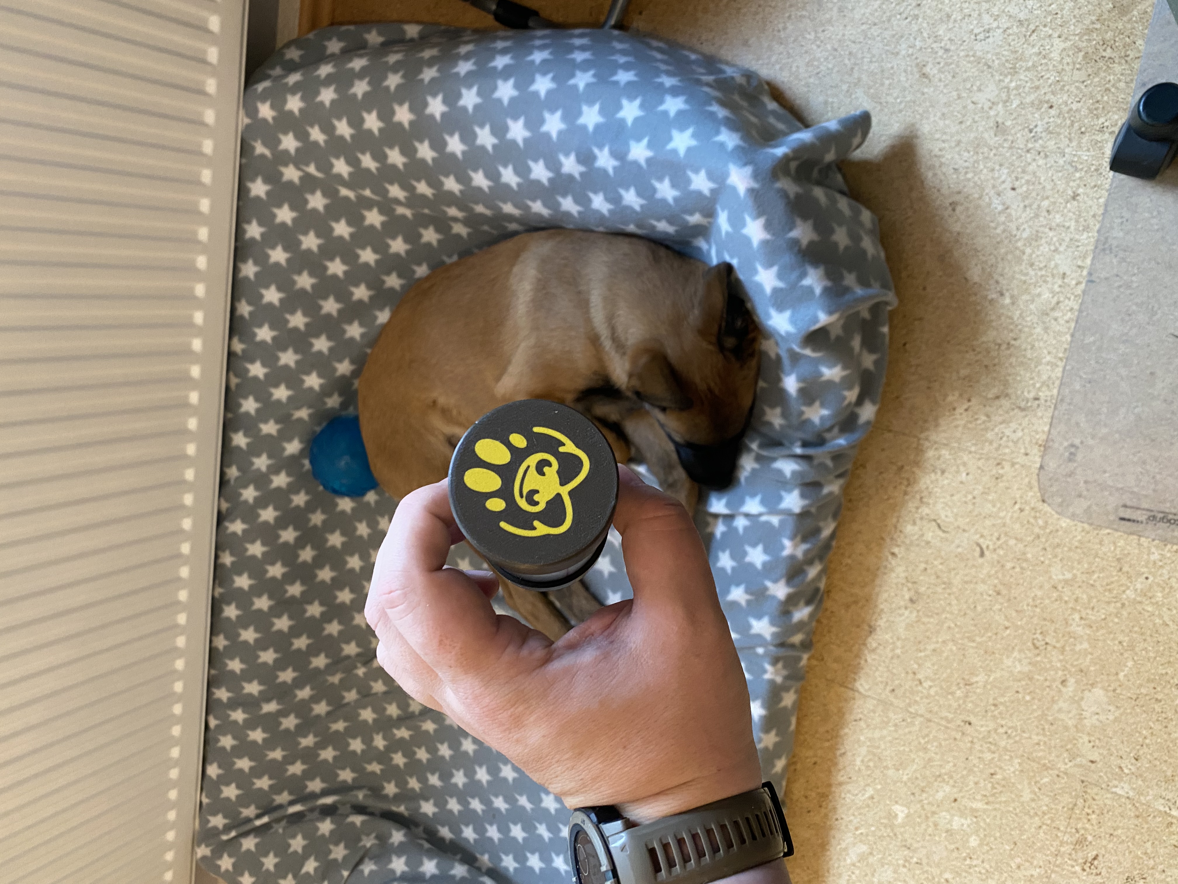 Dog Detection Training Tube