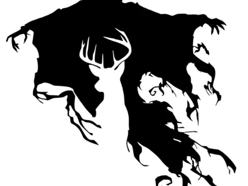 Harry Potter, Dementor, Patronum  Wall Art