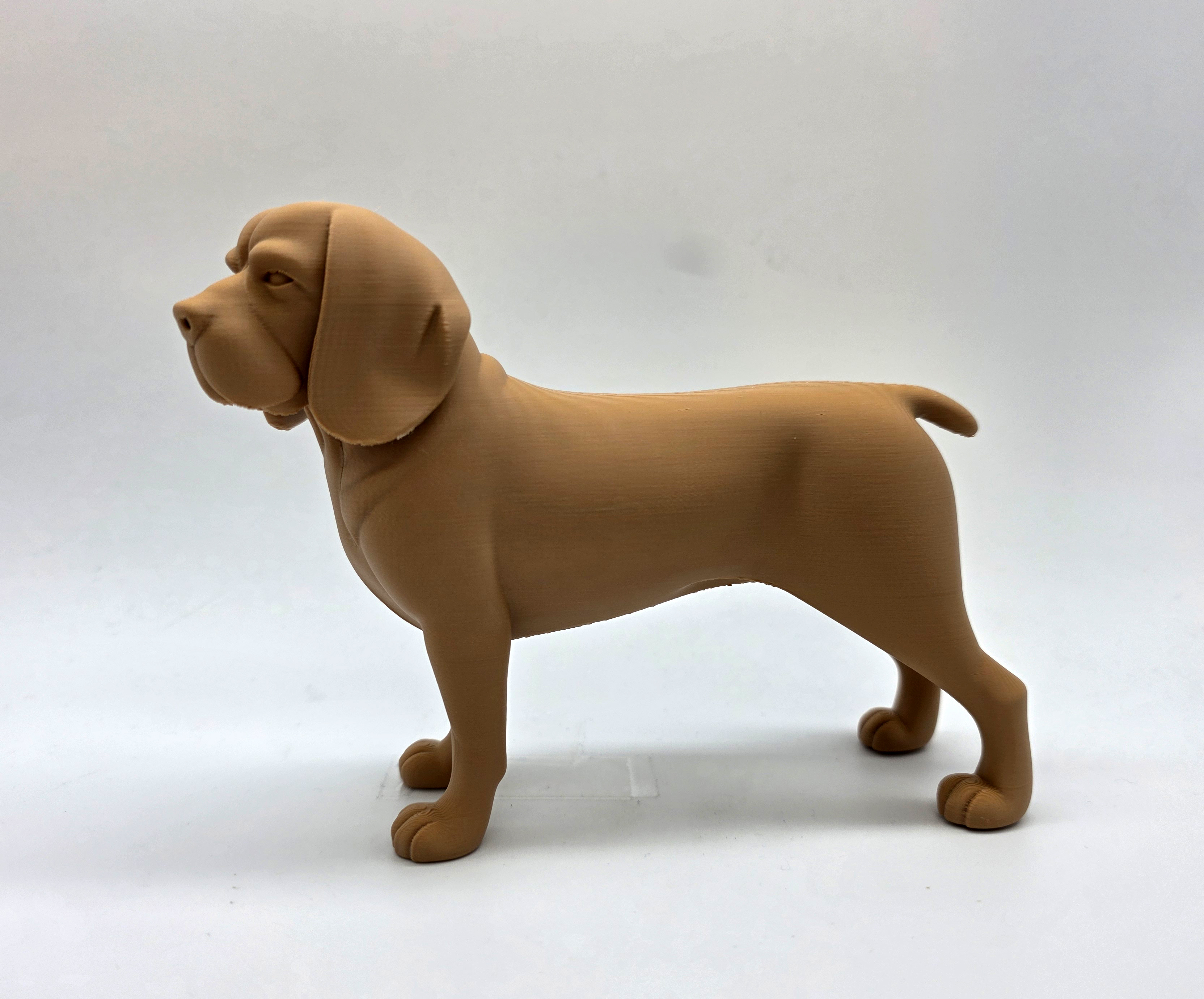 Standing Beagle — thumbnail 4