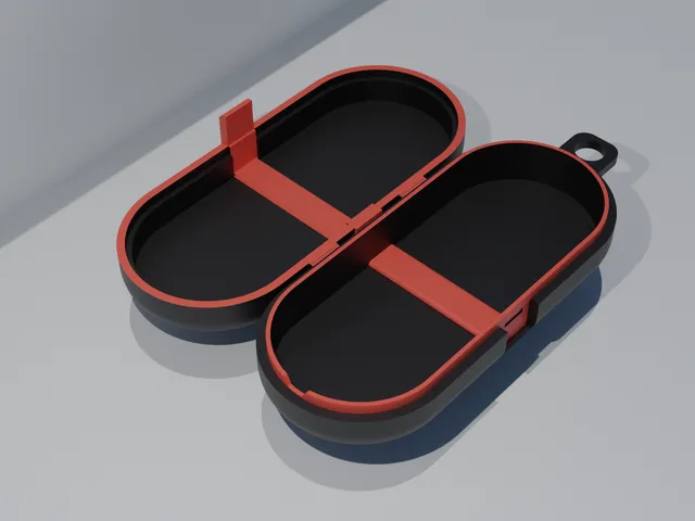 Case for earplugs