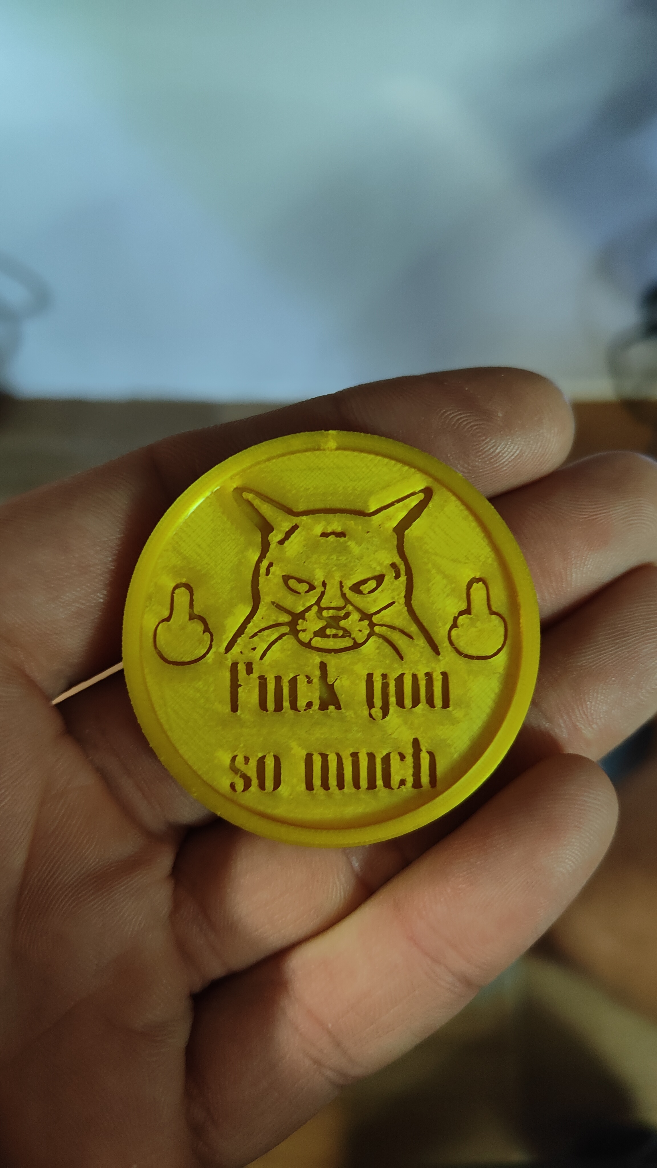 Fck you so much - COIN