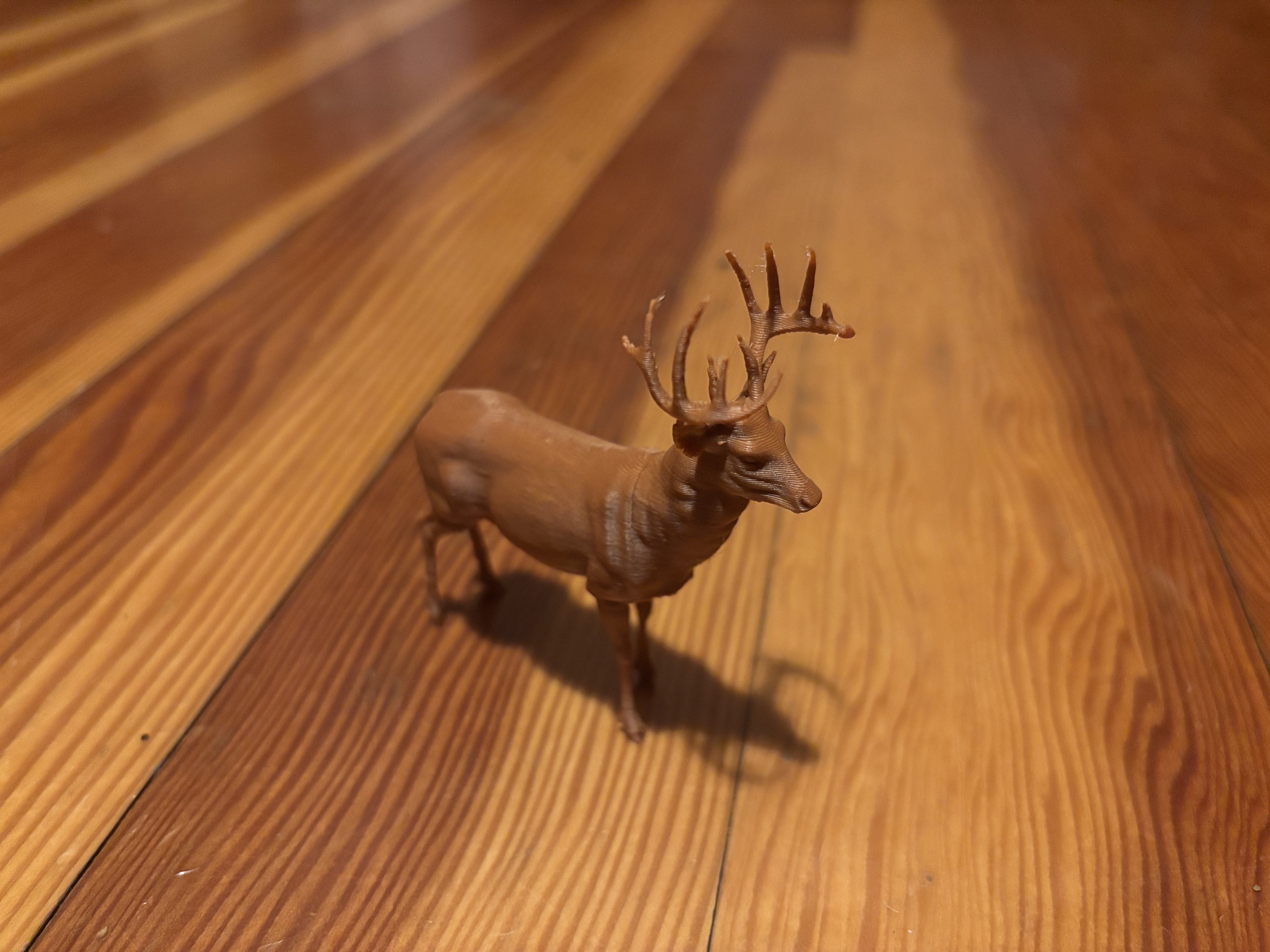 Whitetail Buck Deer (Animal)