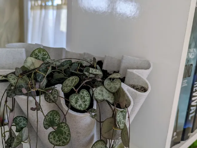 Vase Design