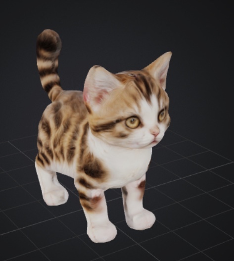 Cat