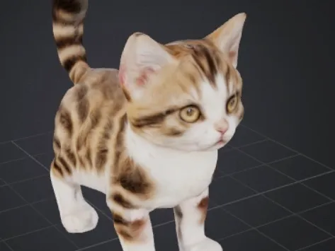 Cat