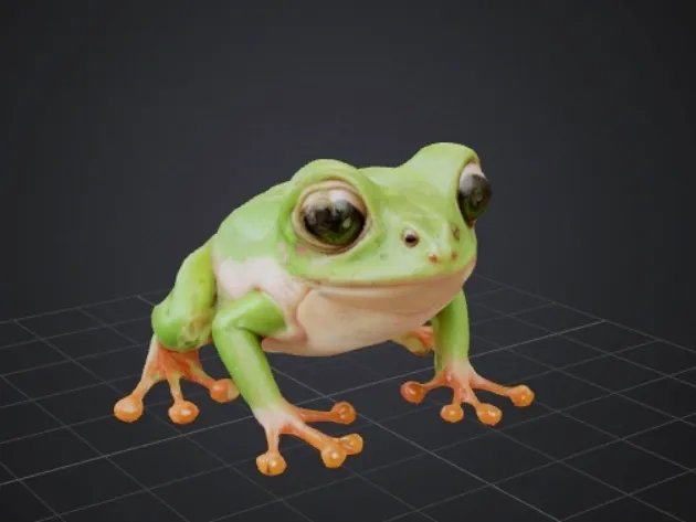 Frog