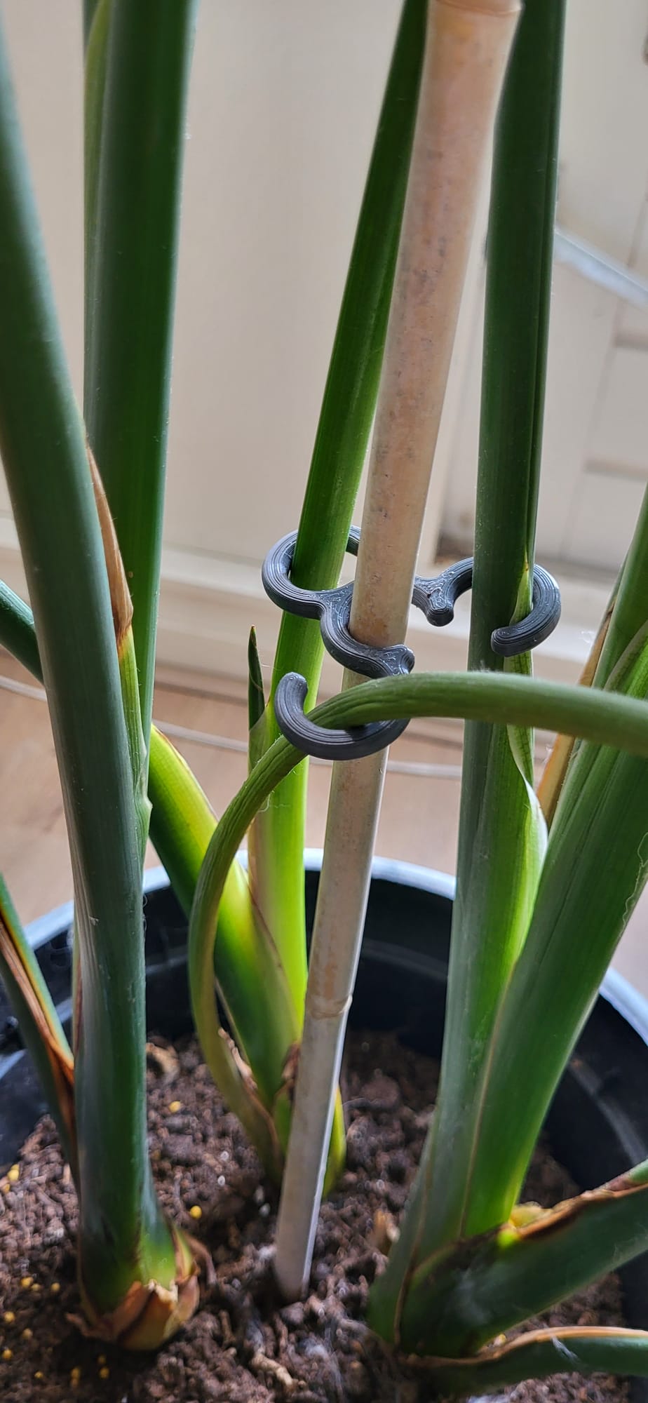 Plant hooks by ted van de peppel download free stl model printables