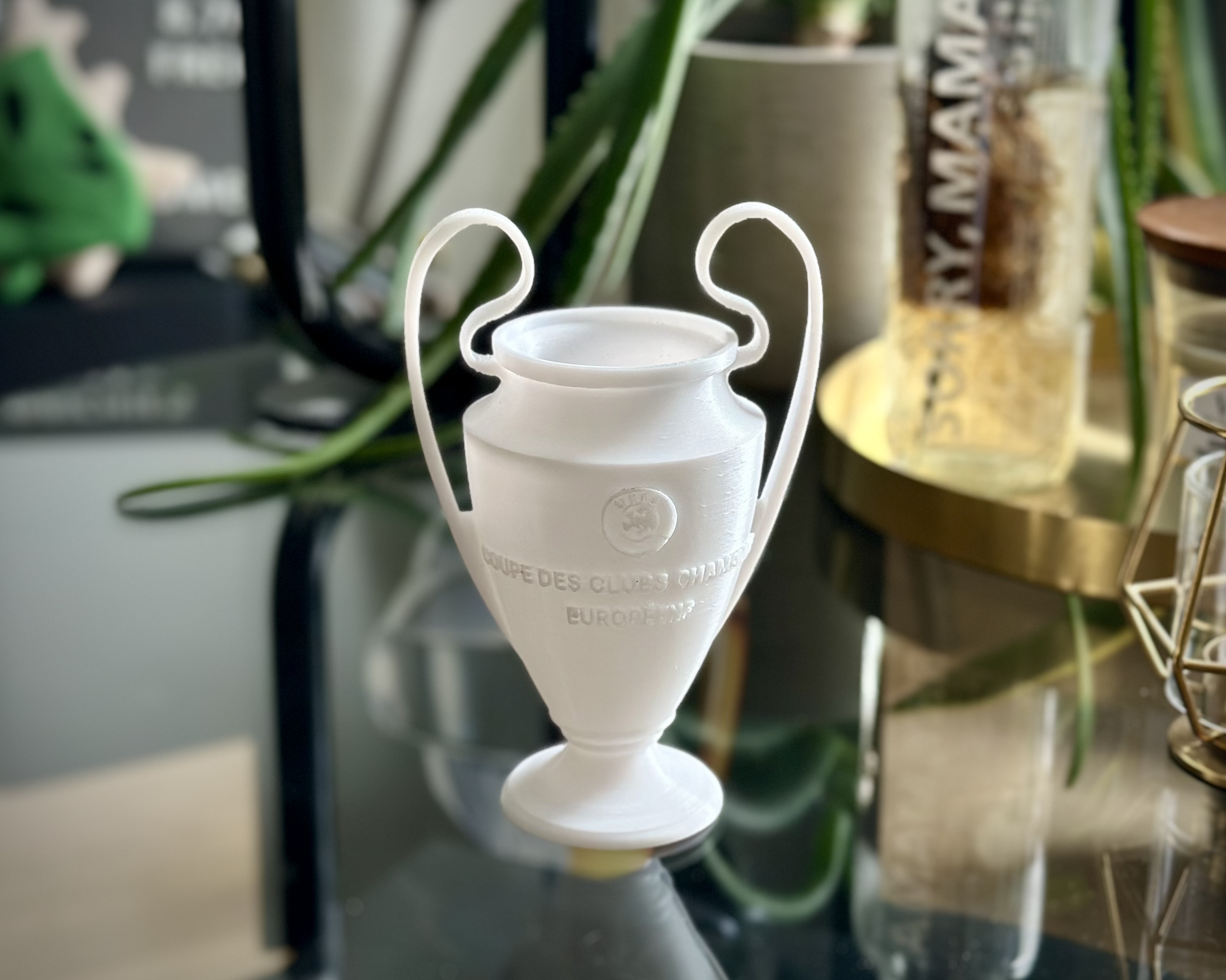 UEFA Champions League Trophy