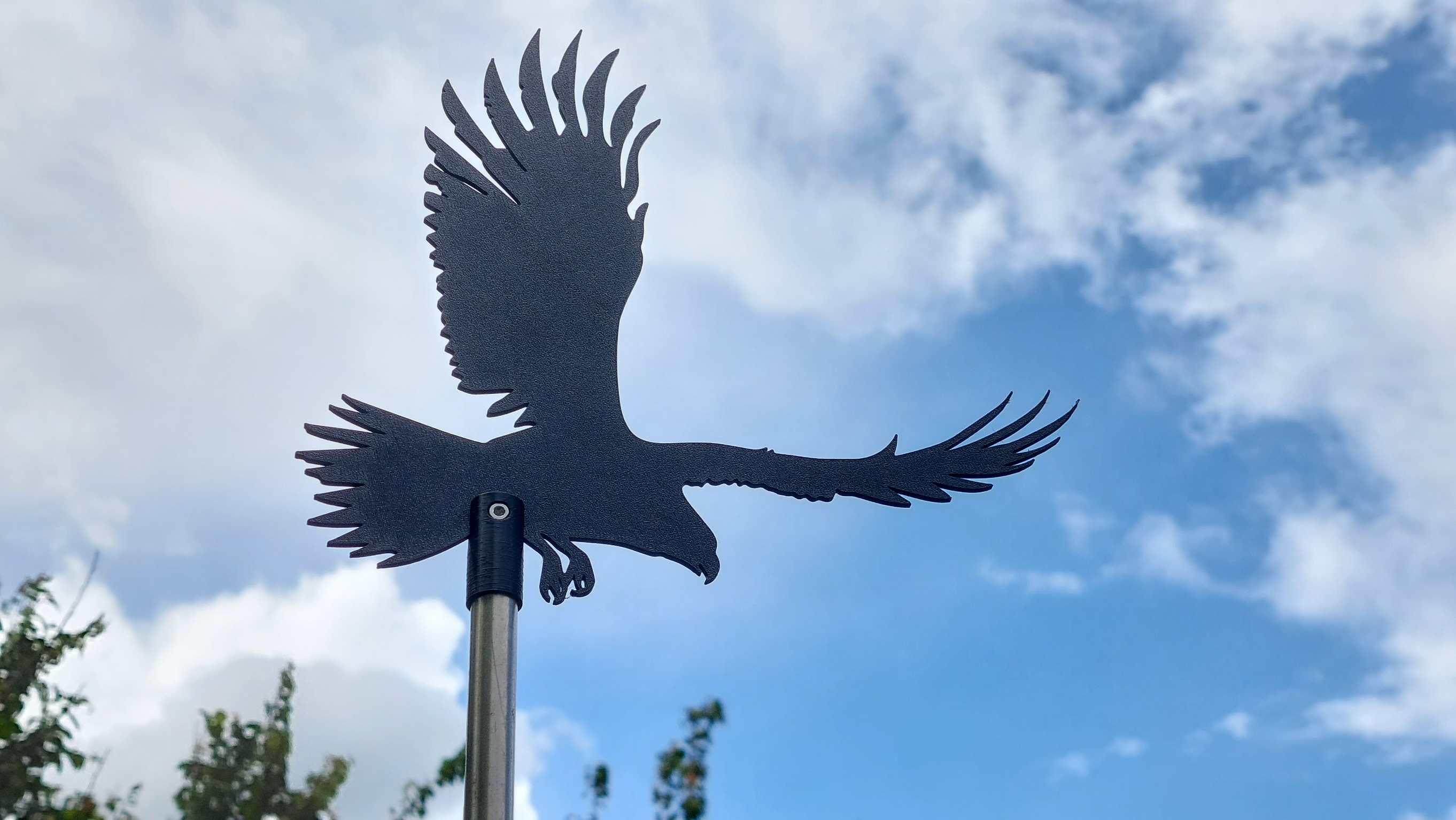 Eagle Silhouette